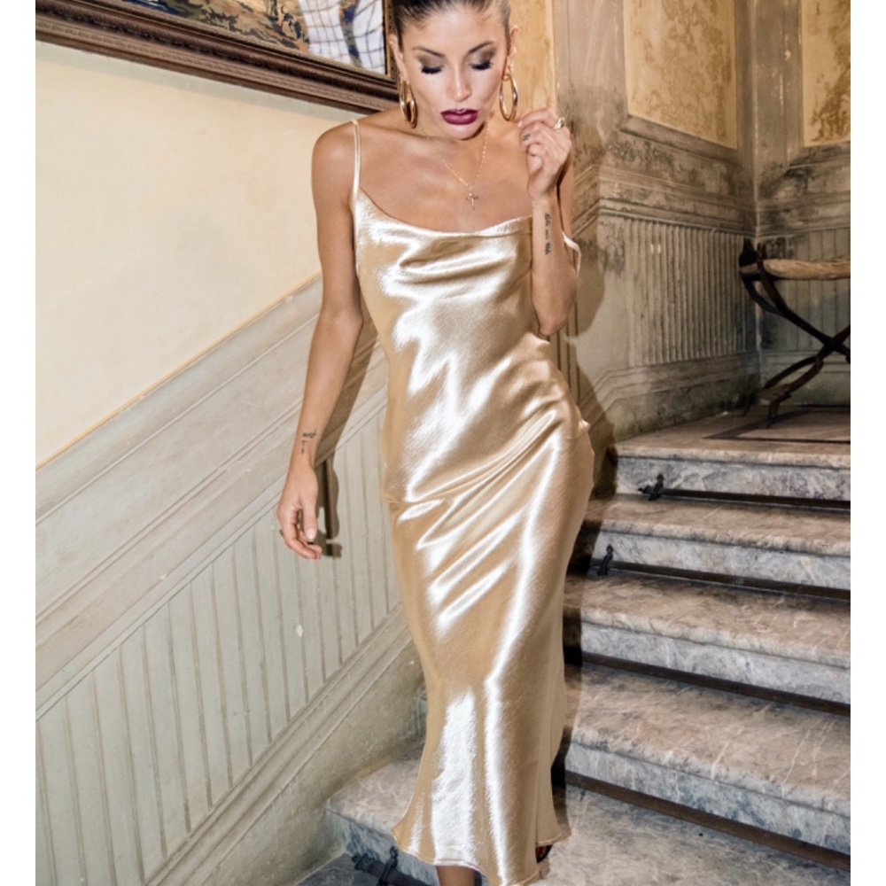 Rat and Boa Sofia Champagne Dress